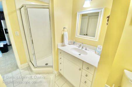 Guest Suite Bath Walk-in shower