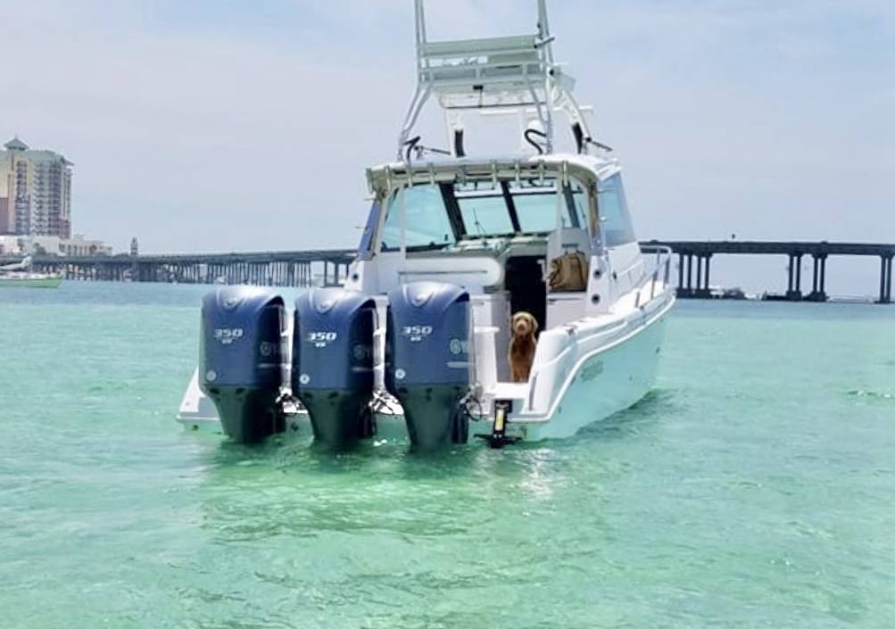 big fast expensive boat at Crab Island